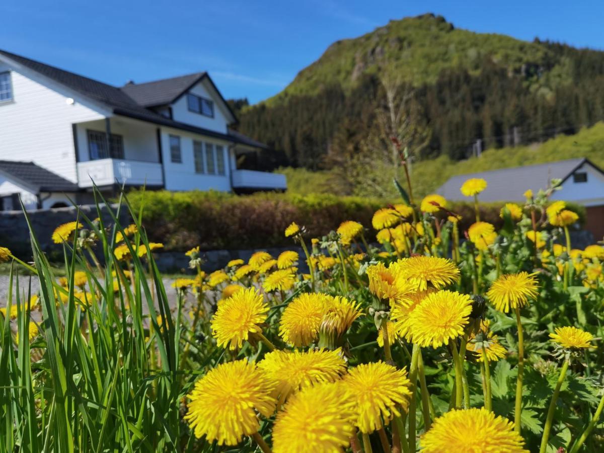 Banpim Hillside Lofoten With Jacusszi Apartment Gravdal  Exterior foto