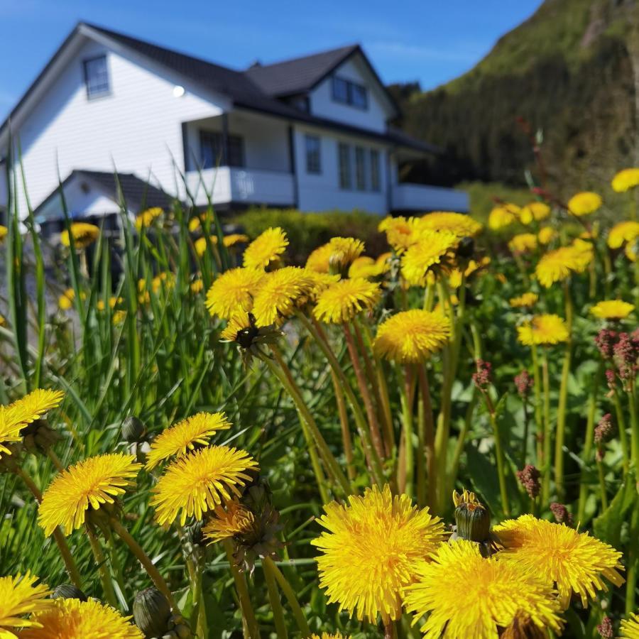 Banpim Hillside Lofoten With Jacusszi Apartment Gravdal  Exterior foto