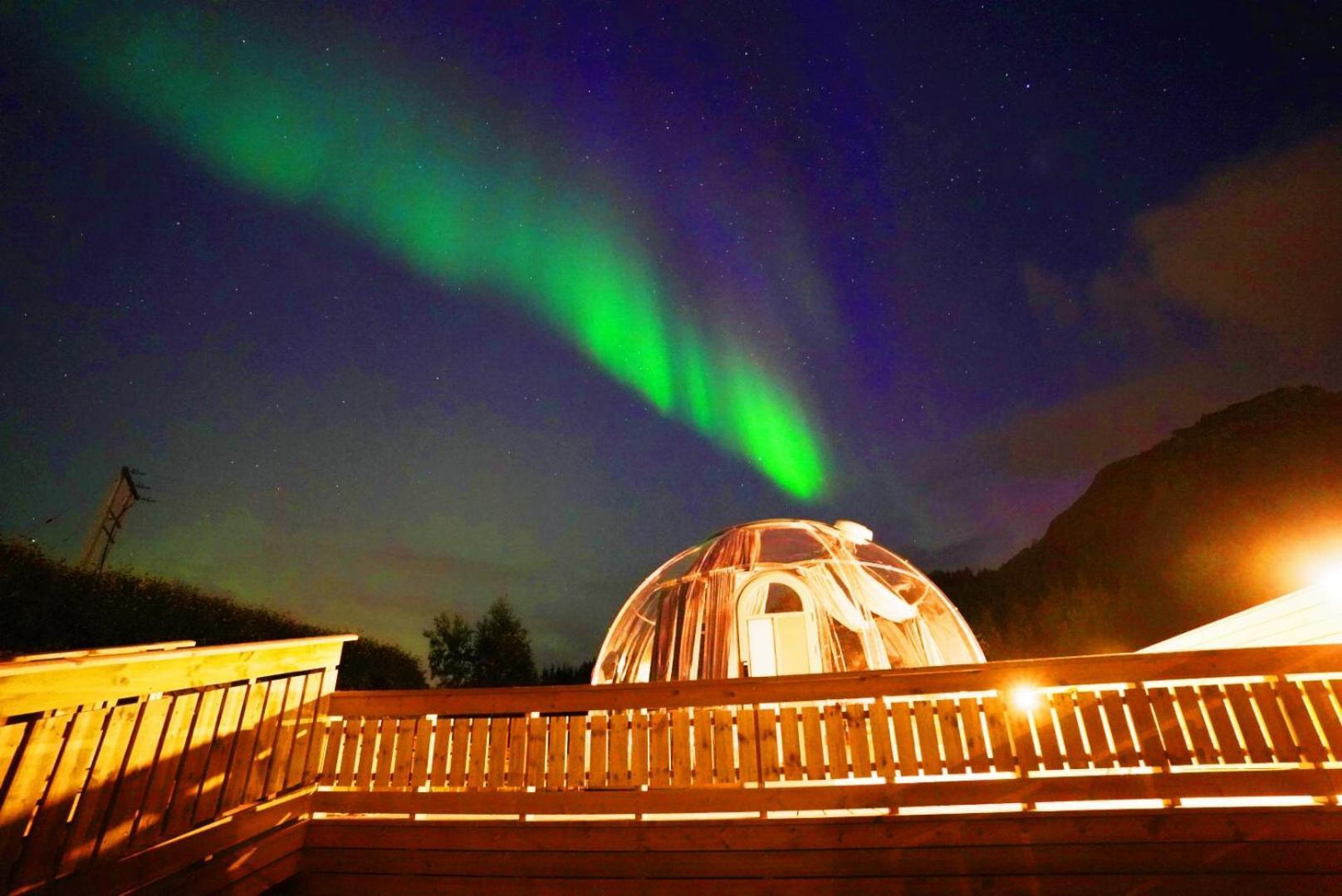 Banpim Hillside Lofoten With Jacusszi Apartment Gravdal  Exterior foto